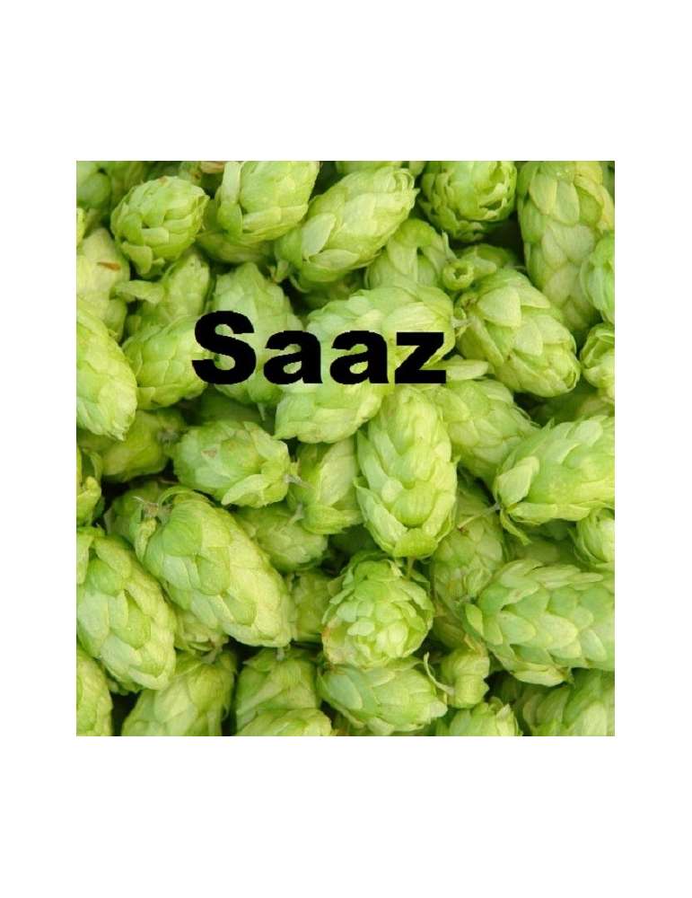 Saaz 100gr