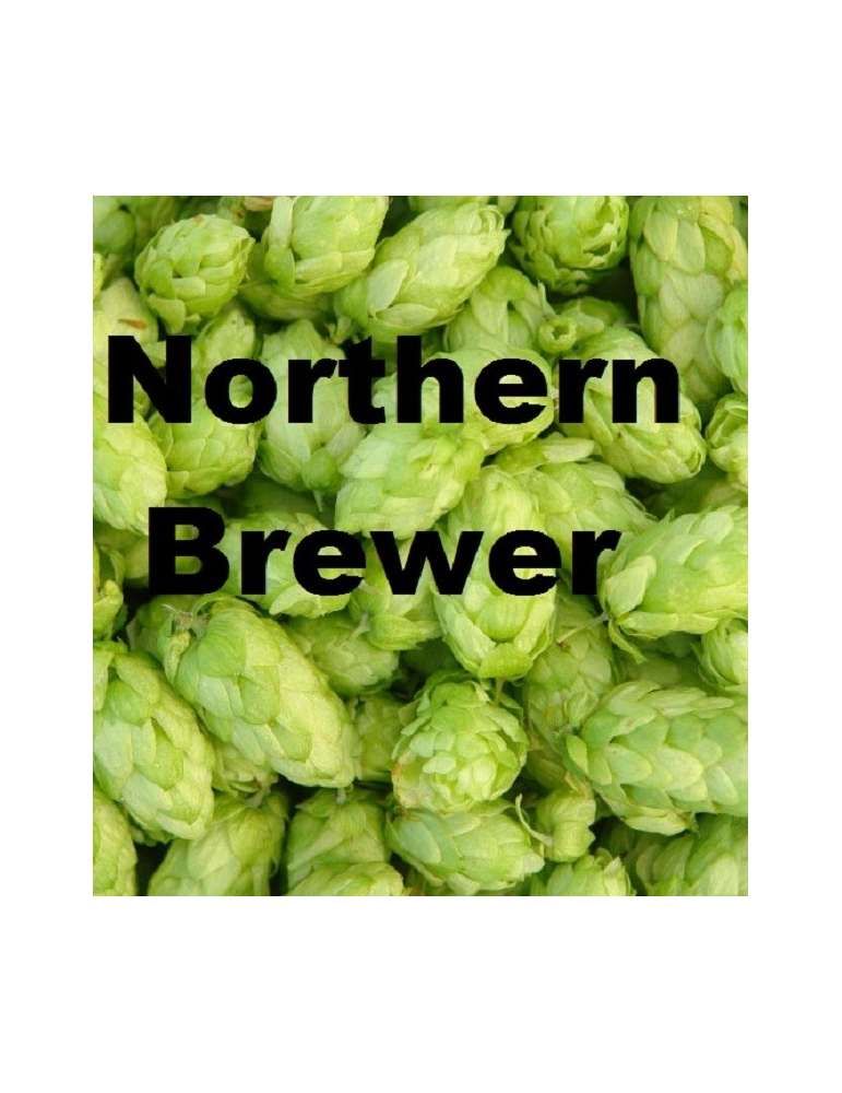 Northern Brewer 125g - Beerstore Barcelona