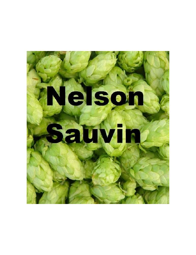 Nelson Sauvin 100gr