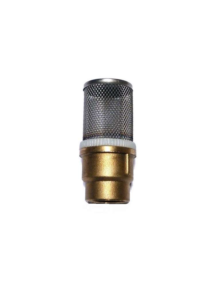 Filtro Inox 1" + Manguito Caldero Inox