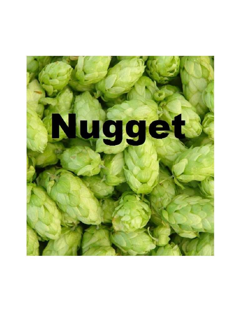 Nugget 100gr