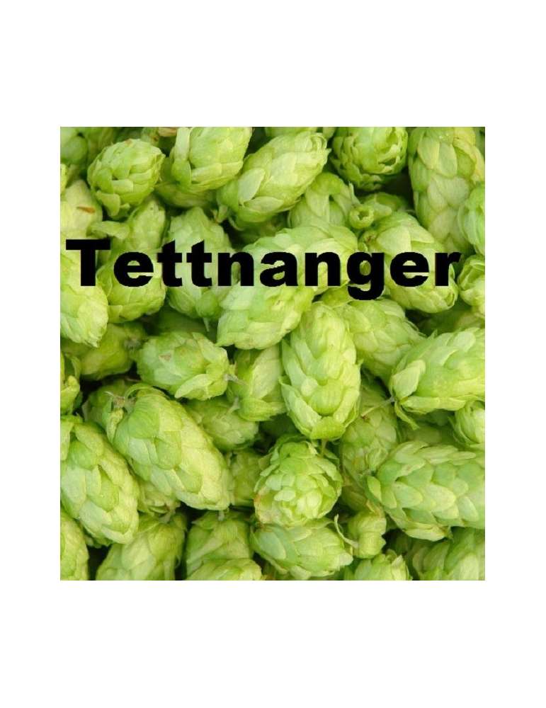 Tettnanger 125g