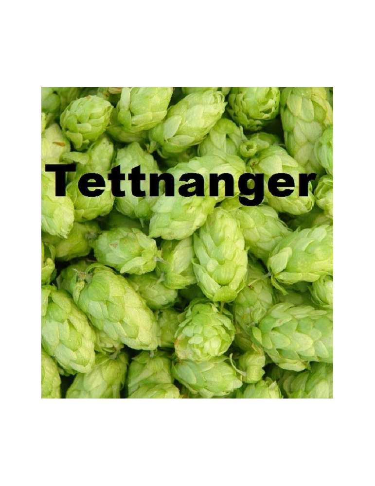 Tettnanger 100gr