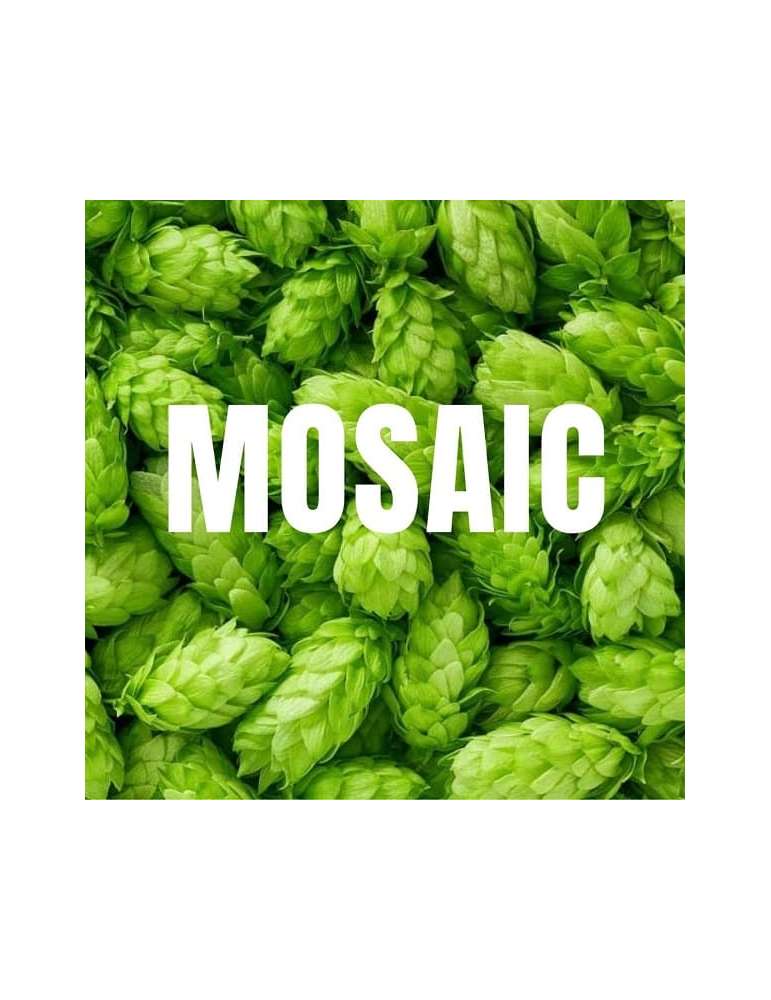 Mosaic 100gr