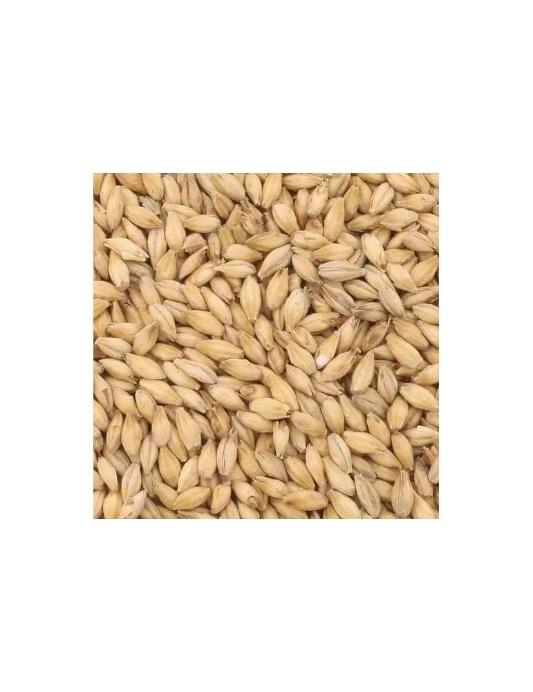 Malta Pilsen 500gr