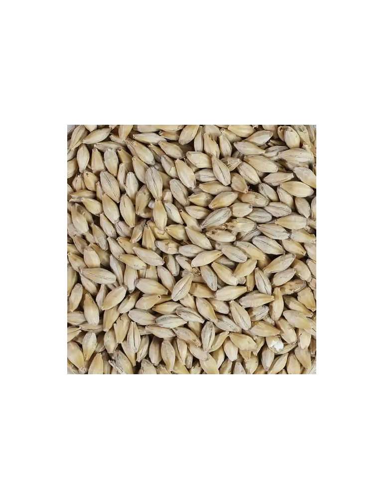 Malta Pale 25Kg