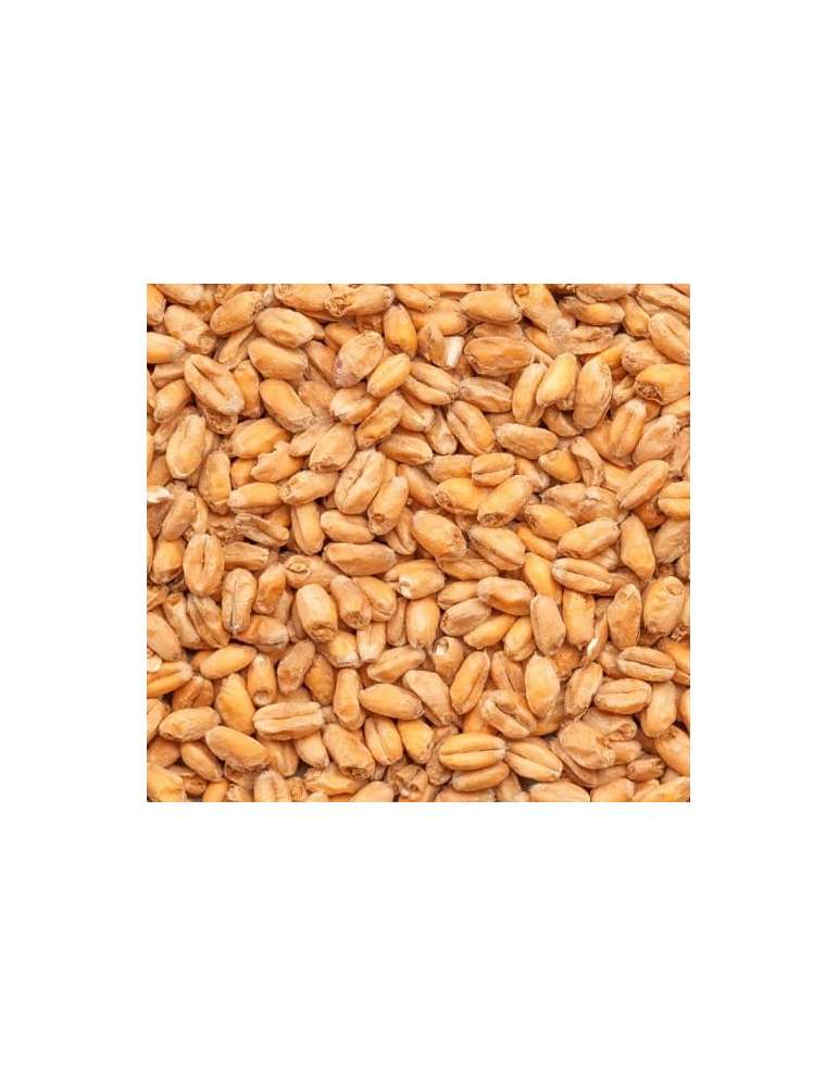 Malta Trigo 500gr