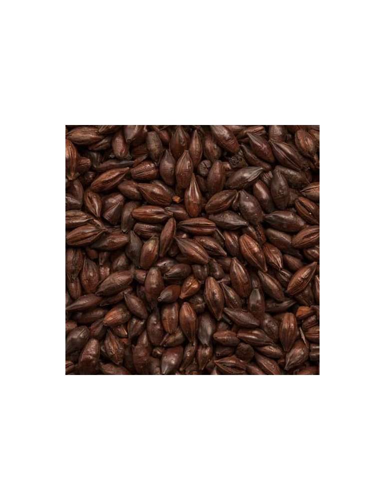 Bossa de 500 grams de Roasted Barley