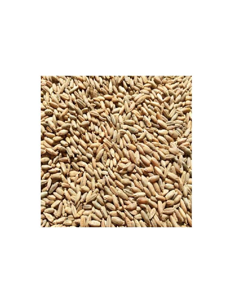 Rye (Centeno) 500gr