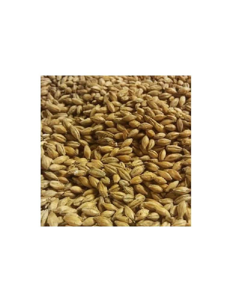 Malt Peated (Fumada)