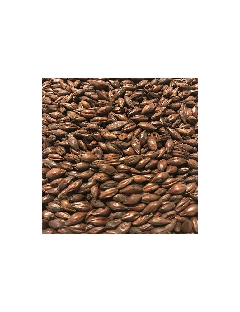 Bossa de 500 grams de Malt Cafè 500