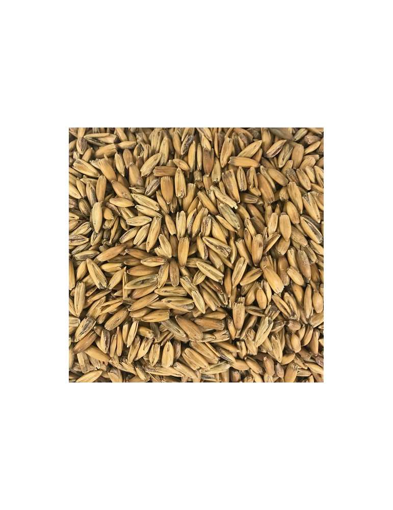 Bossa 500 grams Malta Civada