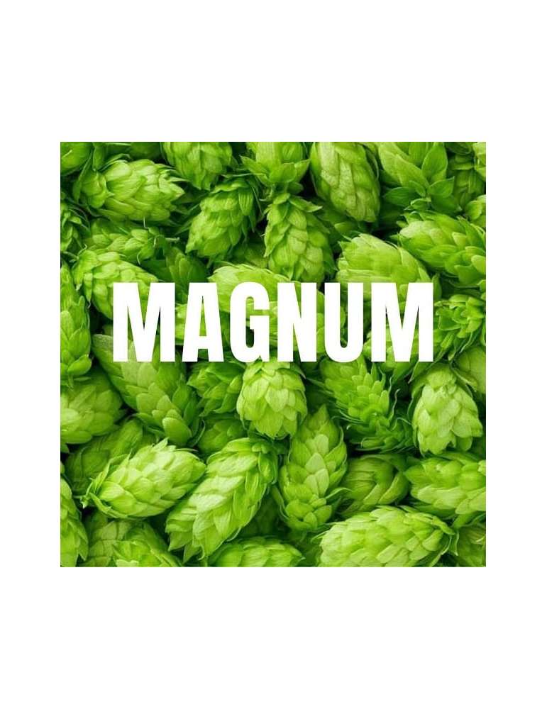 Magnum 125g