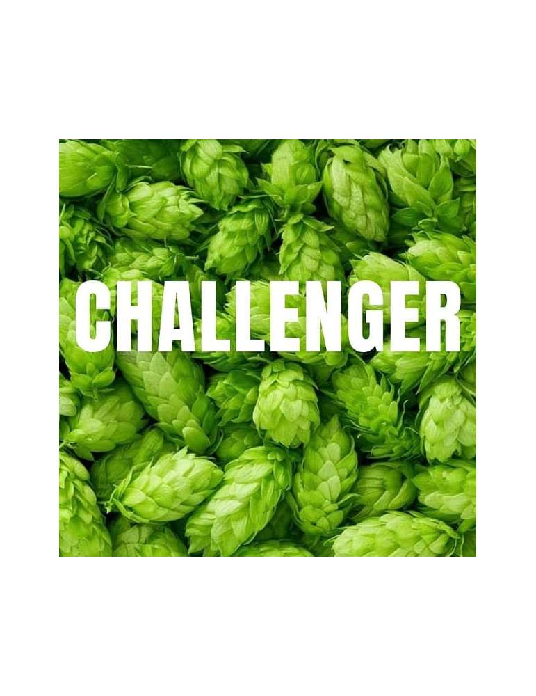 Bossa de 100 grams de llúpol Challenger