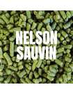 Nelson Sauvin Pelet 125gr