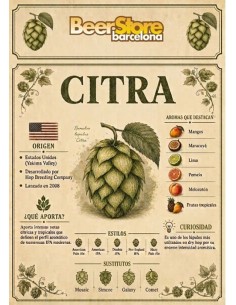 Citra 100gr